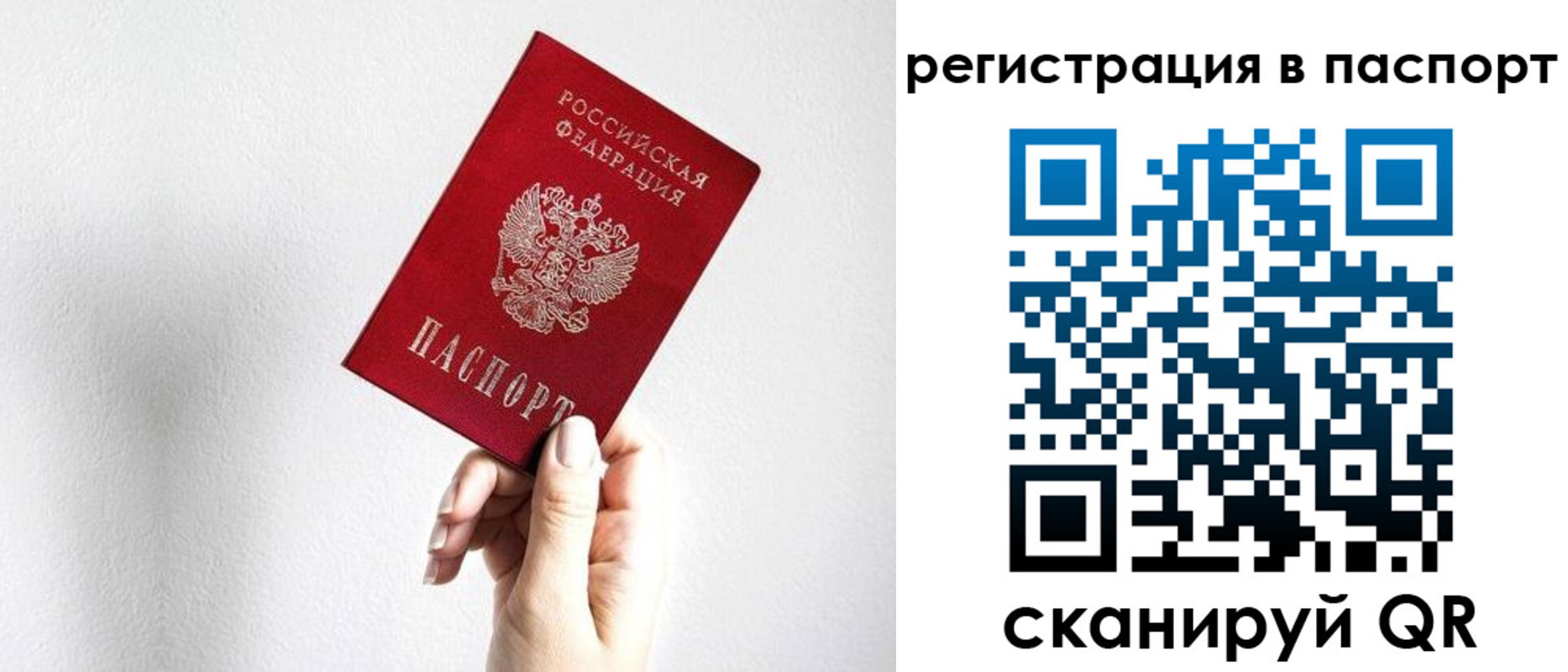 прописка законно в Кудрово